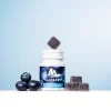 Blueberry Gelatin Gummy Base | 10 Kg